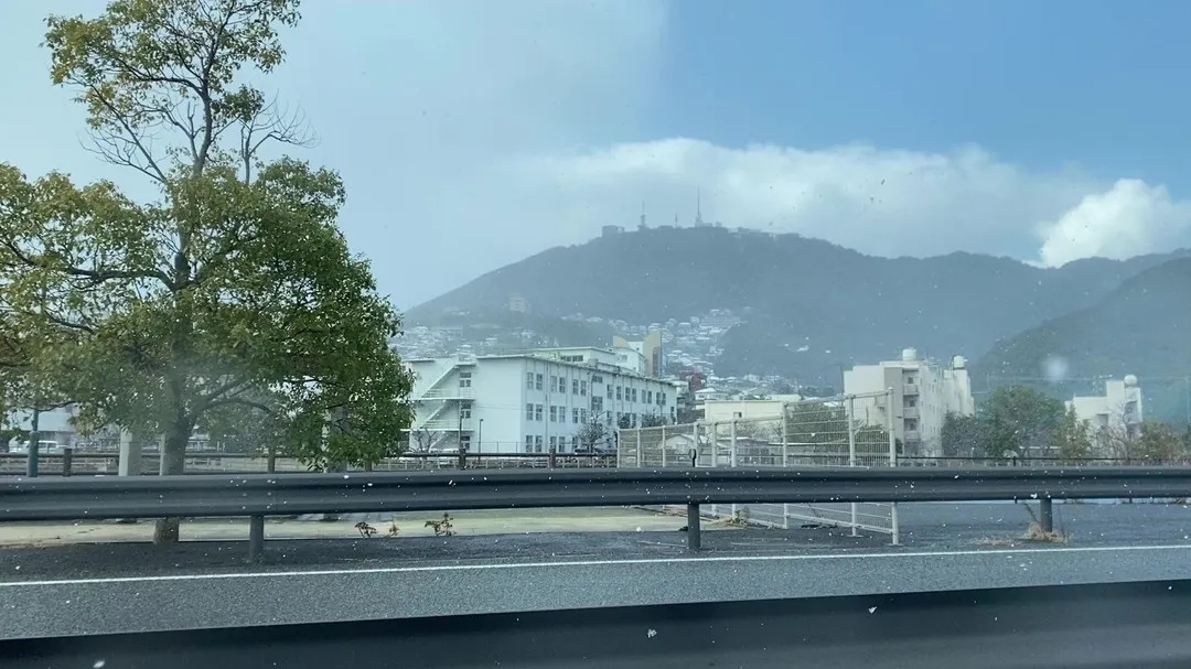 今年初の雪〜❄️❄️❄️